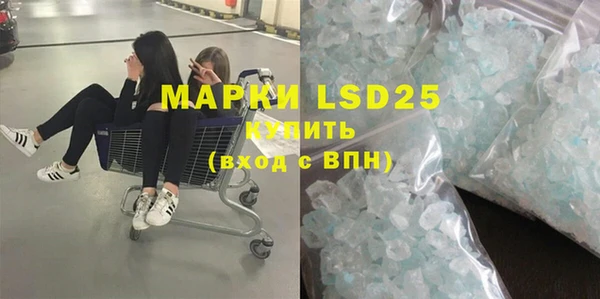 индика Вязьма