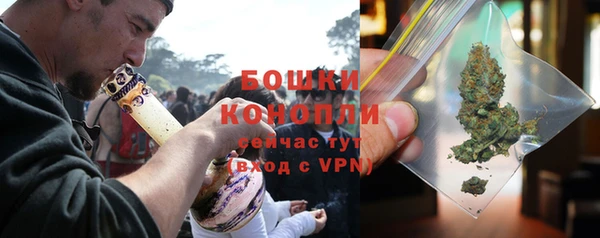 индика Вязьма