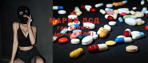 индика Вязьма