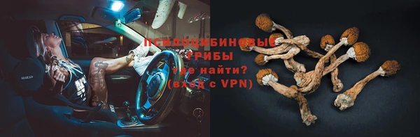 индика Вязьма