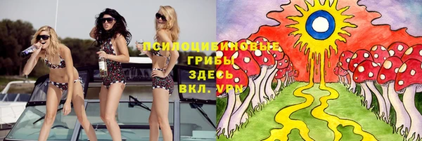 индика Вязьма
