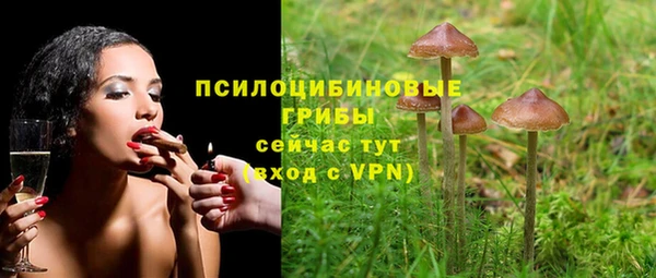 индика Вязьма