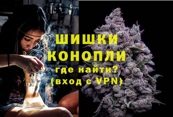 индика Вязьма