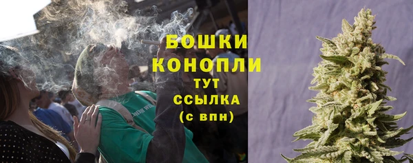 прущая мука Вяземский