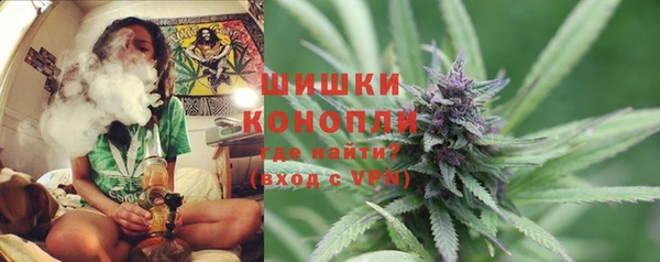прущая мука Вяземский